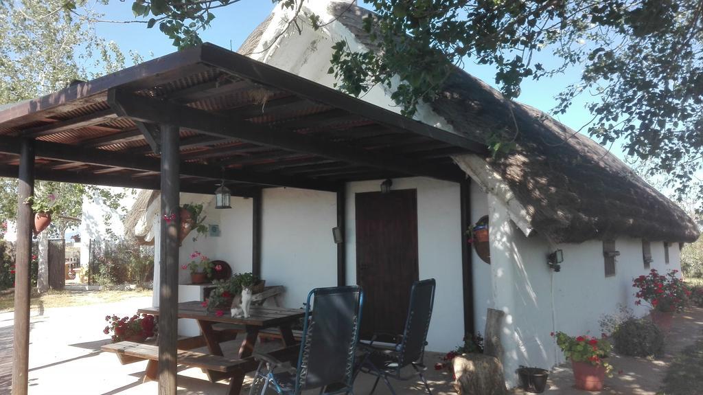 La Barraca D'En Salvador Villa Deltebre Eksteriør billede